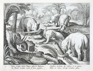 A herd of elephants instinctively build a pit trap, illustration from 